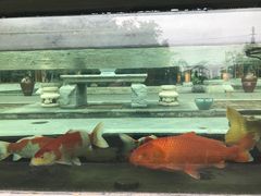 -那家小馆•北京菜•烤鸭(香山店)