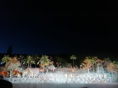 -三亚红色娘子军演艺公园景区