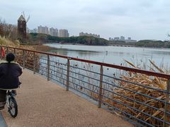 -昆山城市生态森林公园