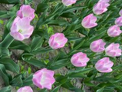 -朝阳公园游乐园