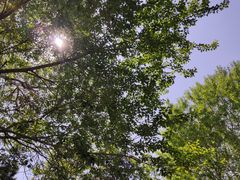 -长春市南湖公园