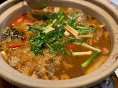 -杨氏青龙虾·羊蝎子(托乐嘉店)