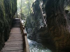 -牛背梁国家森林公园