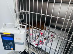 -北京观赏动物医院·24小时大型综合·猫专科·异宠专科
