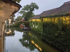-鲁镇