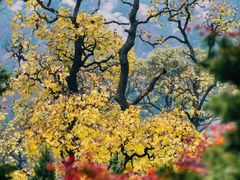 -青岛崂山太清宫