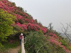 -木兰云雾山