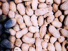 -果蔬好生活超市(乐堤港店)