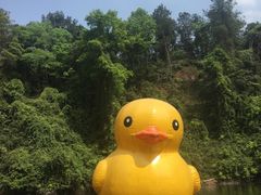 -保利石象湖景区