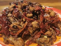 -柴窝堡22号辣子鸡·传承新疆菜