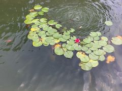 -春风习习