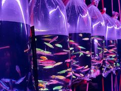 -华声天桥民俗文化园