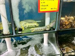 -蚝专家(北滘店)