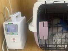 -美联众合动物医院·24h京西诊疗中心