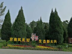 -大兴滨河森林公园