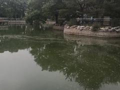 -黄村公园