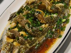 -金海湾海鲜排档(朱家尖店)