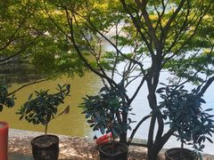-天怡·鱼工厂(梅溪湖店)
