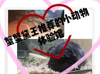 蟹蟹黛王特色推荐： 花园宠物体验馆位置一点点偏僻