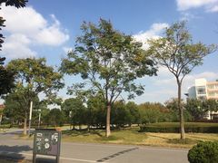 -东华大学(松江校区)