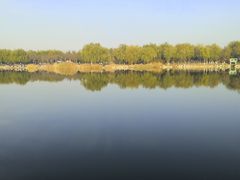 -大兴滨河森林公园