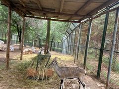 -青藏高原野生动物园