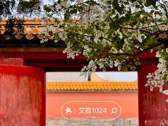-故宫博物院(故宫)