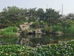 -古塔公园