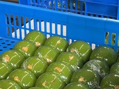 -金原鸭血粉丝汤总店(锁金村店)
