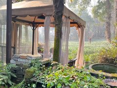 -野蔓果·山野菜(西湖景区·龙井茶田店)