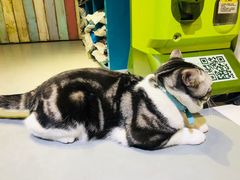 -小时光咖啡馆(开森度假森林店)