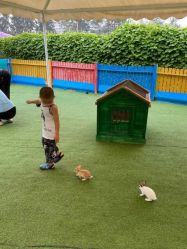 -萌宠亲子动物乐园(槐房万达店)