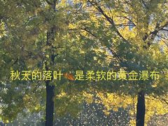 -玲珑塔公园