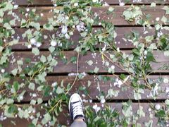 -鄂尔多斯野生动物园