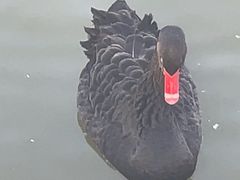 -中国农业博物馆