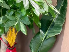 -Fridi Patisserie Cafe