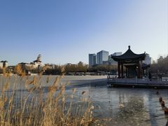 -莲花池公园