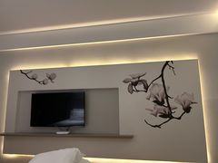 -白玉兰苏州观前街平江路酒店