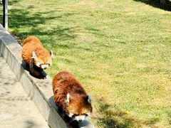 -水上乐园·欢乐世界