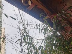 -少林功夫文化中心·独门独院