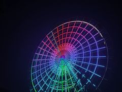 -洋湖国家湿地公园