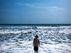 -广东惠东海龟国家级自然保护区