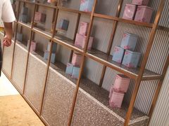 -奈雪的茶(石家庄万象城店)