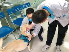 -申普宠物医院·心脏介入·心血管微创(总院)