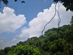 -广州市白云山风景名胜区