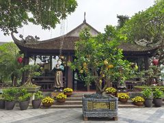 -河内西湖莲花自助餐厅