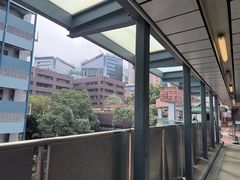 -香港大学