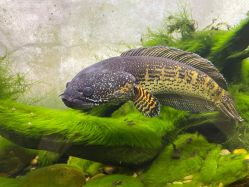 -Zoolung Zoolung动物主题公园(海信广场店)