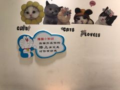 -藏猫猫咖啡主题馆(中央大道店)