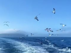 -丽江泸沽湖景区